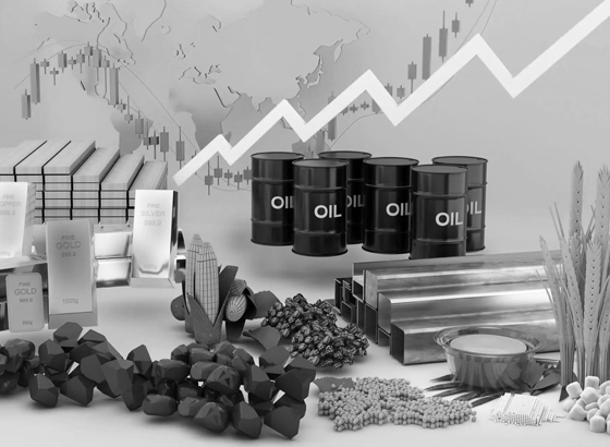End-to-End Financial Plan: From Commodities to Compounding